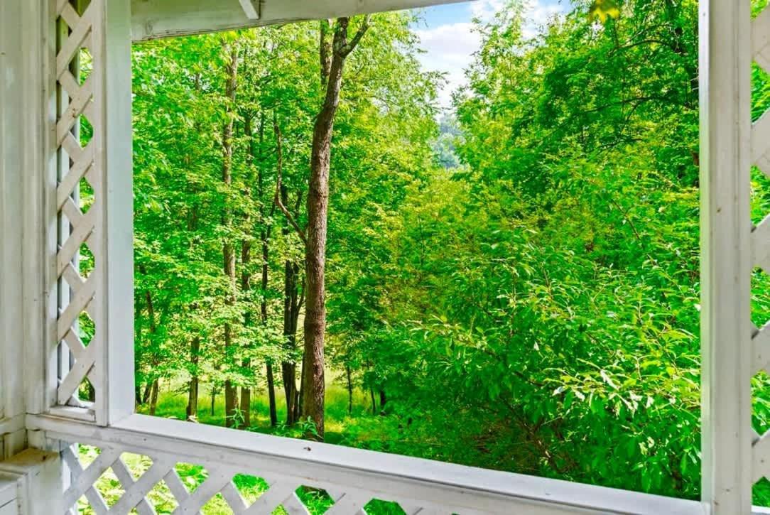 Gated Mansion - Basketball Court Movie Theater Views Villa Big Stone Gap Екстериор снимка